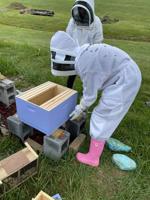 West Virginia Department of Agriculture wins legal case protecting beekeeping rights