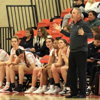 Harrison County roots at the core of Brett Vincent's success with West Virginia Wesleyan women's basketball