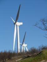 Wind Force taking applications for grant funding